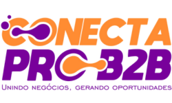 Conecta Pro B2B - Impulsionamento de empresas em São Paulo